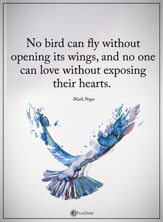 a blue bird flying in the sky with a quote on it that says, no bird can fly without opening its wings, and no one can love without exposing their hearts