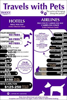 an advertisement for travel with pets, including airline tickets and their price tags are shown