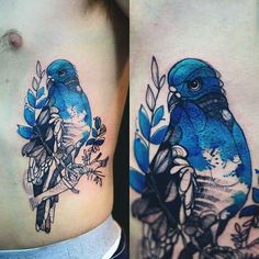 two blue birds sitting on top of each other's stomachs with leaves and branches around them