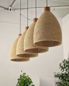 four hanging lights made out of woven material and wooden poles, with plants in the background