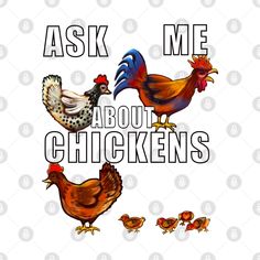 chickens and roosters with the words ask me about chickens