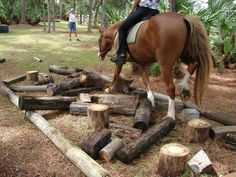 a woman riding on the back of a brown horse next to cut down trees and logs