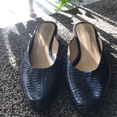 Beautiful Navy Mari Giudicelli Leblon Mules. Real Lizard Upper And Leather Sole. Made In Brazil. 1.5" Heel. Size 38. Bought From Moda Operandi Full Price And Worn Once. They Look Brand New Besides Slight Scuffing On The Bottom Of The Sole. Comes With The Shoe Box! Elegant Slip-on Heels With Textured Sole, Elegant Mules With Textured Sole, Elegant Mules With Flat Heel And Medium Width, Formal Mules With Textured Sole, Elegant Textured Sole Mules For Work, Elegant Closed Toe Heels With Textured Sole, Elegant Workwear Mules With Textured Sole, Elegant Office Heels With Textured Sole, Chic Formal Heels With Textured Sole