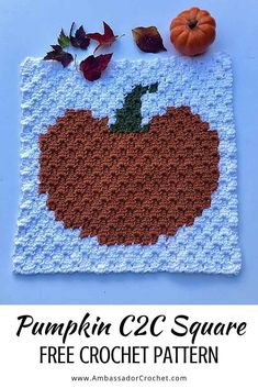 the pumpkin crochet square is shown with autumn leaves and an orange on it