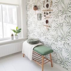 a bench in front of a wall with plants on it