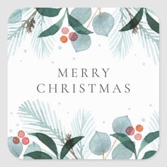 merry christmas with holly leaves and berries square sticker