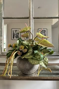 a potted plant sitting on top of a wooden table in front of a mirror