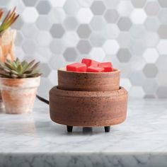 a small potted plant sitting on top of a table next to a candle holder