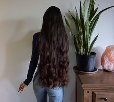 Hair Goals Long, Long Shiny Hair, Haircuts For Long Hair With Layers, Long Silky Hair, Long Hair Pictures, Long Dark Hair, Heatless Curls, Long Brown Hair, Haircuts For Long Hair