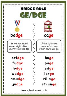 the bridge rules are used to help students learn how to use them