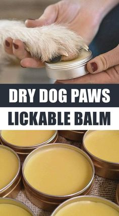 dog paw wax is being used to remove it's fur from the inside of small tins