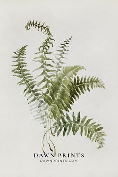 Vintage printable wall art featuring a botanical painting of fern leaves. Free Fern Printables Wall Art, Botanical Watercolor Painting, Wall Art Country, Printable Vintage Art, Fern Leaves, Embrace Nature, Vintage Printable, Botanical Painting, Botanical Watercolor