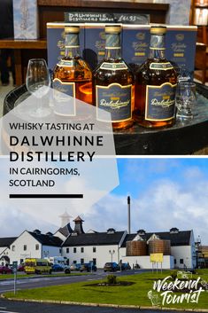 whisky tasting at dalwhine distillery in carngras, scotland