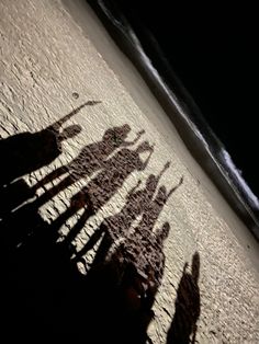 the shadow of several people standing in front of an ocean