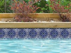 an outdoor swimming pool with blue tiles on the side and plants in the back ground