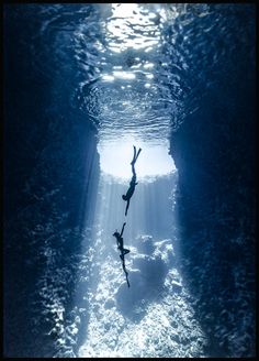 two people are swimming in the water with their backs turned to the camera and one person is diving