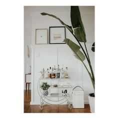 a white bar cart with drinks on it next to a potted plant and framed pictures