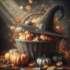 a basket filled with lots of pumpkins and a witch's hat on top