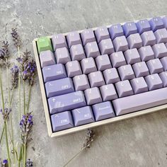 a purple keyboard sitting on the ground next to lavender flowers