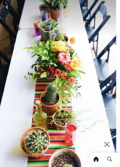 a long table with many potted plants on it