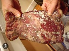 a person holding up a piece of meat in their left hand, with seasoning on it