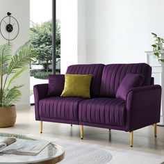 a living room with a purple couch and potted plants on the table in front of it