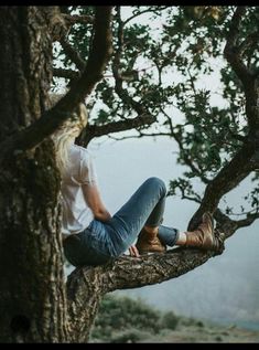 a woman sitting on top of a tree branch