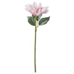 SMYCKA artificial flower, indoor/outdoor/Dahlia pink, 11 ¾ ". Dahlias are just as beautiful as easy-care and bloom for a long time. Especially this one. Made from plastic, of which at least 50% is recycled – so it stays just as fresh each year, even on your terrace or patio. Flower/ Leaf: 100 % polyester (100% recycled). Ikea Artificial Flowers, Dahlia Pink, Flower Indoor, Self Watering Plants, Potted Plants Outdoor, Household Plants, Artificial Potted Plants, Artificial Bouquet, Artificial Wreath