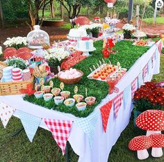 a table covered in lots of food and desserts on top of green carpeted grass