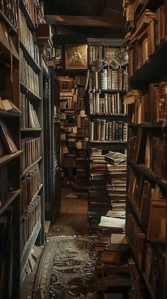 Old Libraries Aesthetic, Antique Book Store Aesthetic, Autumn Library Aesthetic, Reading Nook Vintage, Dark Bookstore Aesthetic, Old Classic Aesthetic, Vintage Book Store Aesthetic, Vintage Things Aesthetic