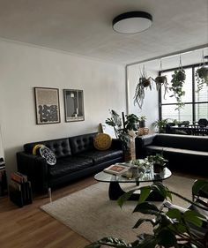 a living room filled with black furniture and lots of plants on top of the tables