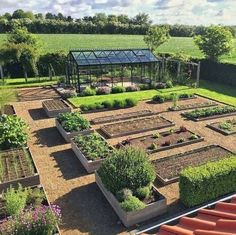 an aerial view of a vegetable garden in the middle of a field with lots of green plants