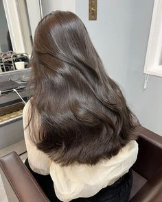 Glossy Long Hair, Thick Glossy Hair, Healthy Glossy Hair, Good Hair Aesthetic, Korean Healthy Hair, Long Glossy Hair, Dr Hair Claim, Korean Dark Brown Hair