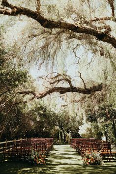 an outdoor ceremony setup with rows of chairs and flowers on the aisle, surrounded by trees