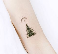 a small pine tree tattoo on the arm