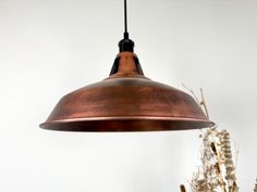 a copper colored light hanging from a ceiling fixture with dried plants in the background and white walls