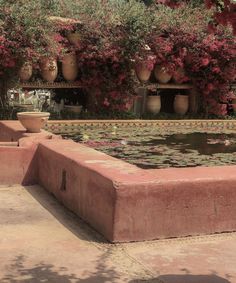 a pond surrounded by potted plants and flowers