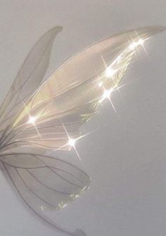 a close up view of a feather on a white surface with light shining through the feathers