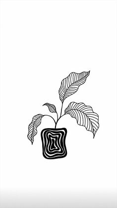 a black and white drawing of a plant in a square vase with leaves on it