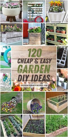 garden diy ideas that are easy and cheap