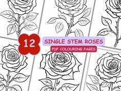 12 Single Stem Rose colouring pages. A therapeutic set of bold and easy single stem flowers to colour at your leisure. Take some time for yourself and unleash your creativity. Colour a flower a week to help de-stress from life and enjoy a new hobby. Makes a cute, simple, affordable and thoughtful gift for a far away loved one.  * DIGITAL DOWNLOAD This is a DIGITAL product. After purchasing the product, you will immediately receive access to the digital colouring page files, ready to print at your convenience. The links will never expire, which means you have lifetime access to them.  * WHAT'S INCLUDED: - 1 PDF of 12 High resolution Single Stem Rose Coloring Pages. * HOW TO DOWNLOAD Step 1. Sign in to Etsy and access "Your Account." Step 2. Access the "Purchases and Reviews" section. Step 3 Digital Colouring, Stem Flowers, Rose Coloring Pages, Colouring Page, Autumn Activities, Colouring Books, New Hobbies, Colouring Pages, Rose Color