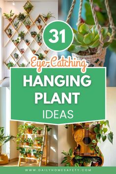 hanging plant ideas with text overlay that says 31 eye catching hanging plant ideas