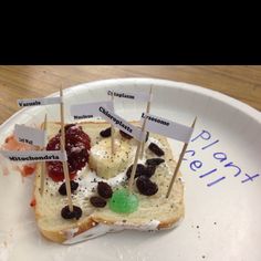 a piece of bread on a plate with toothpicks sticking out of it