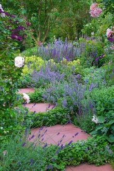 a garden filled with lots of different types of flowers