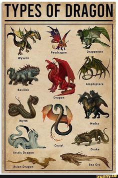 a poster with different types of dragon on it's back side and the words types of