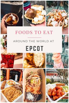 food collage with the words, foods to eat around the world at epot