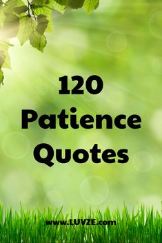 green grass with the words,'120 patiente quotes'in front of it