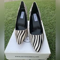 Steve Madden Carmin Zebra Daisie Pumps Sz(8) Pre-Owned. In Good Condition. Check Out Pics. Smoke Free House Shoes Steve Madden, Steve Madden Shoes, Women's Pumps, Shoes Women Heels, Steve Madden, Shoes Heels, Pumps, Women Shoes, Cream