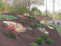 a garden with flowers and rocks on the ground