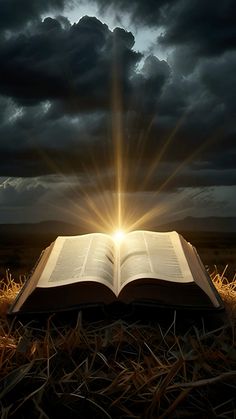 an open book sitting in the middle of a field under a cloudy sky with sunbeams